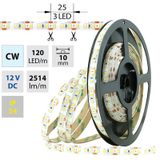 LED strip SMD2835 CW, 120LED/m, 28,8W/m, 2514lm/m, IP54, DC 12V, 10mm, 5m