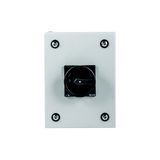 Main switch, P1, 32 A, surface mounting, 3 pole, 1 N/O, 1 N/C, STOP function, With black rotary handle and locking ring, Lockable in the 0 (Off) posit