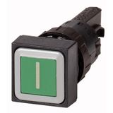 Q25D-11 Pushbutton, green I, momentary
