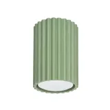 Ceiling lamp KARBON 10 sage