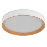 ORBIS LARIOS 490 36W 830CLICKD WDWTOSRAM