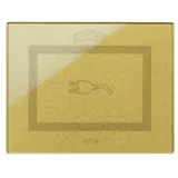TOUCH FR SLIDING PLATE GOLD PLUG 3M