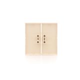 Double button for switches and push buttons, light gray matt