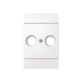 2531-100-916 CENTRE PLATE
