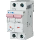 PL6-C16/2 Miniature circuit breaker (MCB), 16 A, 2p, characteristic: C