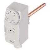Immersion Thermostat P5685