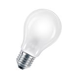 ECO GLS A55 E27 240V 42W Frosted