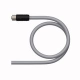Supply Cable - M12 Power Connection Cable   RKP54PLB-4/TXG