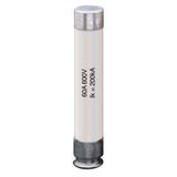 A6K/F 600Vac 20A fuse