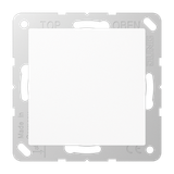 Blank centre plate A594-0WW