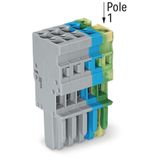 1-conductor female connector CAGE CLAMP® 4 mm² gray, green-yellow, gra