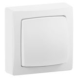 10AX double-pole switch or two-way switch - Surface mounted wiring device - Complete White