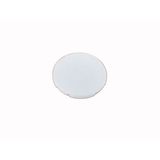 M22-XD-W Button plate, flat white, blank