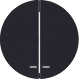 Rocker 2gang, clearlens, R.1/R.3, black glossy