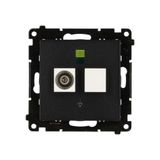 Equipotential socket, module, black matt