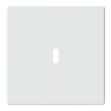 Central disc USB-C power adapter insert 65W