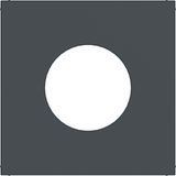 Central plate for push button/light signal E10, A.x/C.x, anthracite