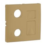 COV F/R-TV-RJ45/R-TV-RJ45-FO MULT SOCKET GOLD