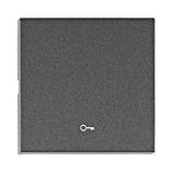Rocker S 55 with symbol key, anthracite