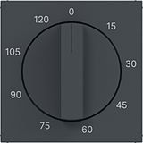 Central plate for mechanical time switch 0-120 min., A.x/C.x, anthracite.