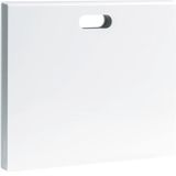 Connected home controller Coviva