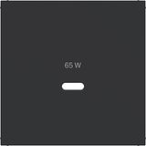 Center plate for USB-C socket, A.x/C.x, matte night black