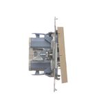 Two-way switch without pictogram, (module), Simon 24, IP20/IP44, 10AX, champagne matt