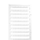 Blank coding (1000 pieces)