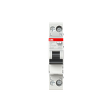 DSN201 A-C20/0.03 Residual Current Circuit Breaker with Overcurrent Protection