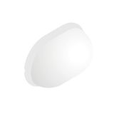 EKO19 PC SHIELDING