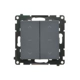 Double roller shutter button (1-0-2), 10A, graphite mat