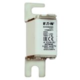 NH00 TN/80 100A 690V fuse
