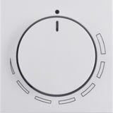 Centre plate for speed cont., setting knob, S.1/B.3/B.7, p. white glos