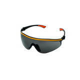 Safety glasses 4259