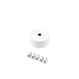 SUSP CEILING-MOUNT ROSE FEED WH - Ceiling rose