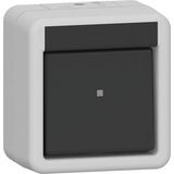 rocker switch 310230 Off 2-p WG AP gr