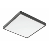 LED luminaire ALTAR, 24 W, 1680 lm, 4000K, AC180-250V, PF>0.5, IP44, 295x295 mm, black