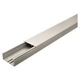 PVC CABLE CONDUIT WITH COVER 2M 60X130 RAL7035