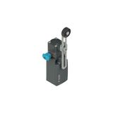 Position switch with adjustable roller lever and reset device