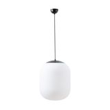 LED-5L06C06ZS11/296/L100 C 4000