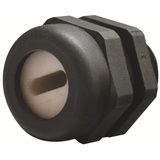 Cable Gland Cable flat ECEA Polyamide 6 with 25 Percent Glass Fibre M4
