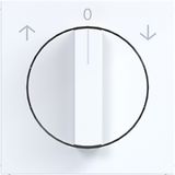Central plate for rotary blind switch, A.x/C.x, light white glass