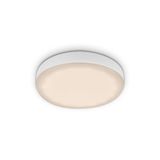frameless LED-downlight, white, 1xLED-platine/3W