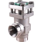 CHV-X SS 20 D ANG Check Valve PS52