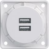 230 V USB charging socket outlet, 2gang, 3.0A, with screw terminals, p