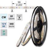 LED strip SMD3528 cold white, 120LED/m, IP20, DC 12V, 8mm, 5m
