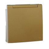 C.PLAT F/SKO SOCK W/SAF & HING LID(IP44) GOLD