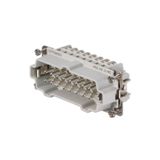 HDC insert, Male, 500 V, 16 A, Number of poles: 16, Screw connection, Size: 6