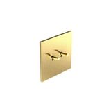 Art d'Arnould - 2 gang single pole switch Epure toggle type 10AX-250V - Brushed Gold