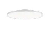 FL R+ 555 SM 44 S/B 8TW WH9016 DT8 OP